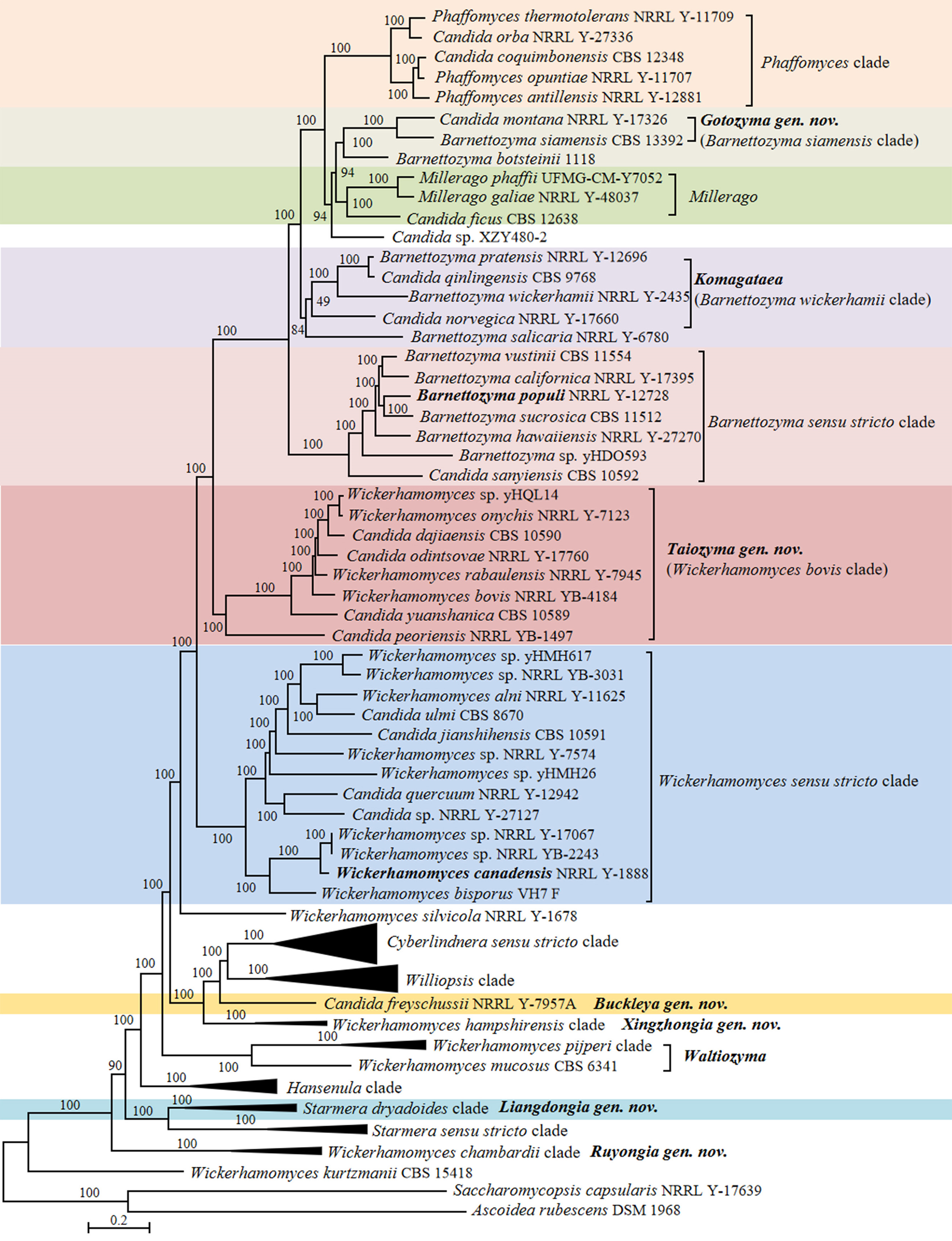 Figure 15
